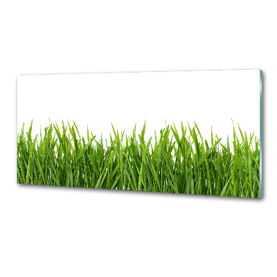 Cooker splashback Grass