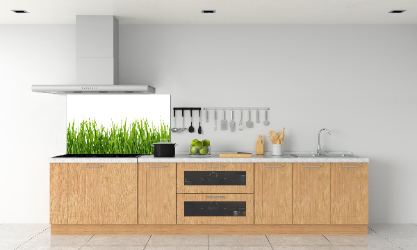 Cooker splashback Grass