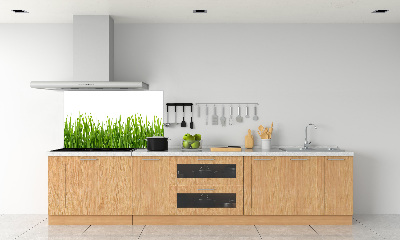 Cooker splashback Grass