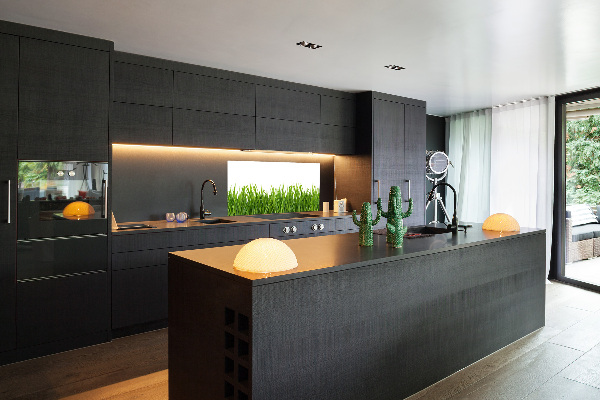 Cooker splashback Grass