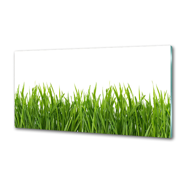 Cooker splashback Grass