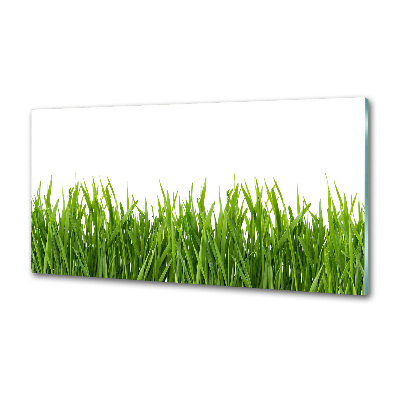 Cooker splashback Grass