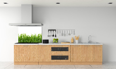 Cooker splashback Grass