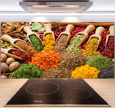 Cooker splashback Colorful spices