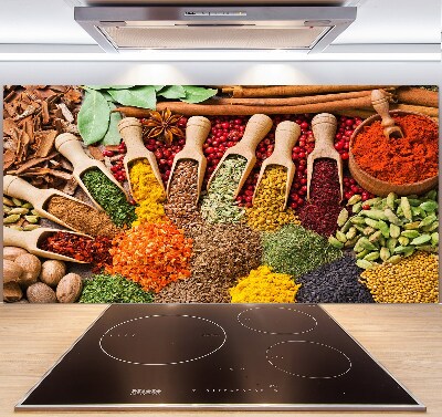 Cooker splashback Colorful spices