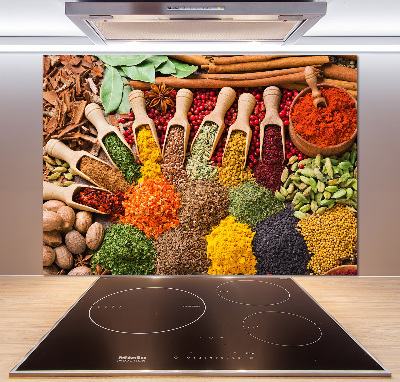 Cooker splashback Colorful spices