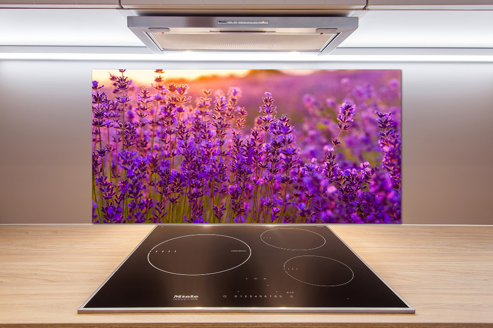 Cooker splashback Lavender field