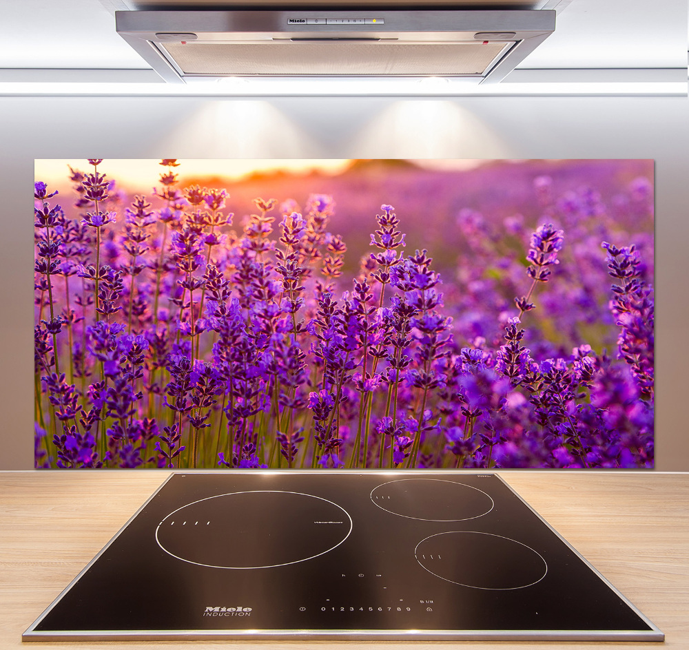 Cooker splashback Lavender field