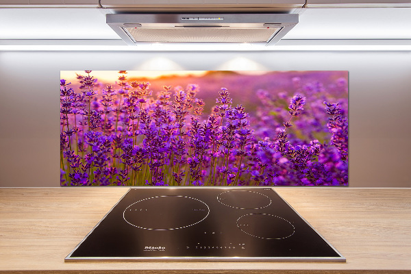 Cooker splashback Lavender field