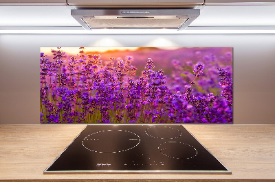 Cooker splashback Lavender field