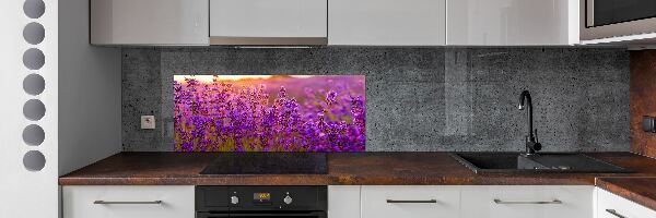 Cooker splashback Lavender field