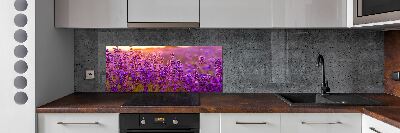 Cooker splashback Lavender field