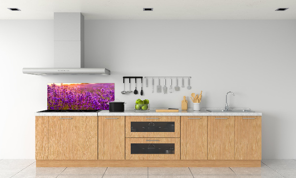 Cooker splashback Lavender field