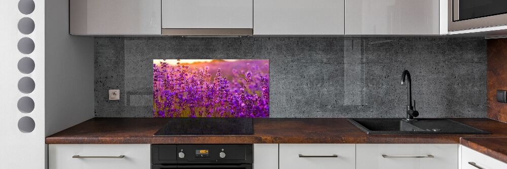 Cooker splashback Lavender field