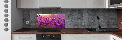 Cooker splashback Lavender field