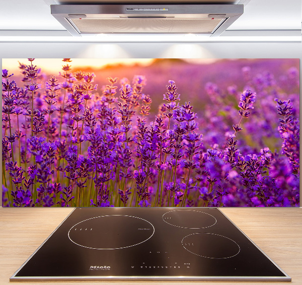 Cooker splashback Lavender field