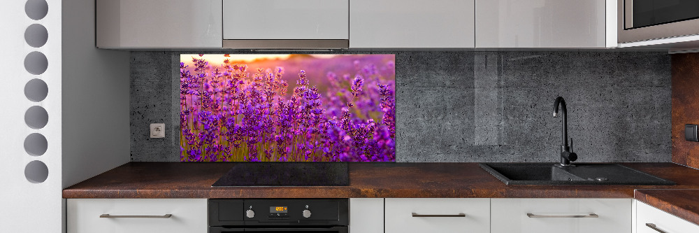 Cooker splashback Lavender field