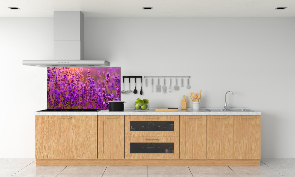 Cooker splashback Lavender field