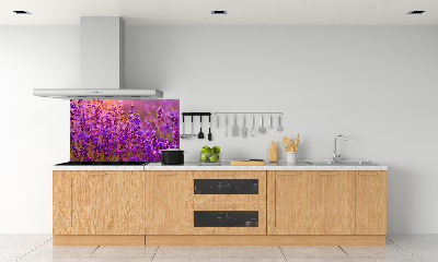 Cooker splashback Lavender field