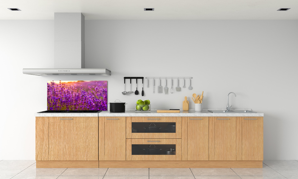 Cooker splashback Lavender field