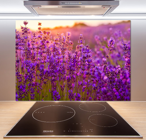 Cooker splashback Lavender field