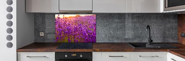 Cooker splashback Lavender field