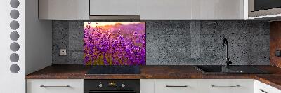 Cooker splashback Lavender field