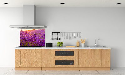 Cooker splashback Lavender field