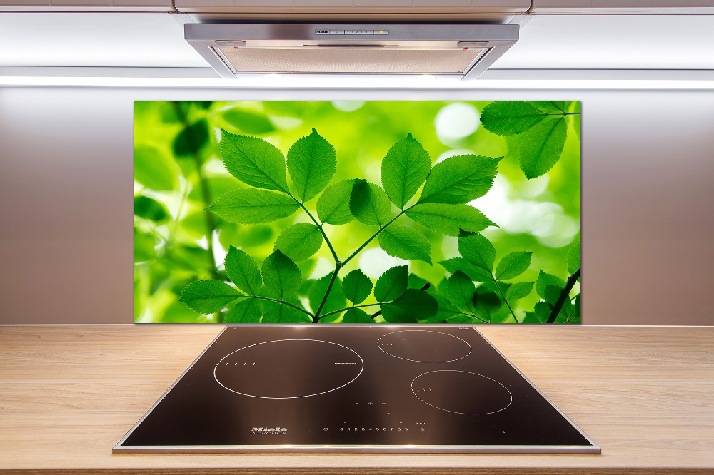 Cooker splashback Green leaves