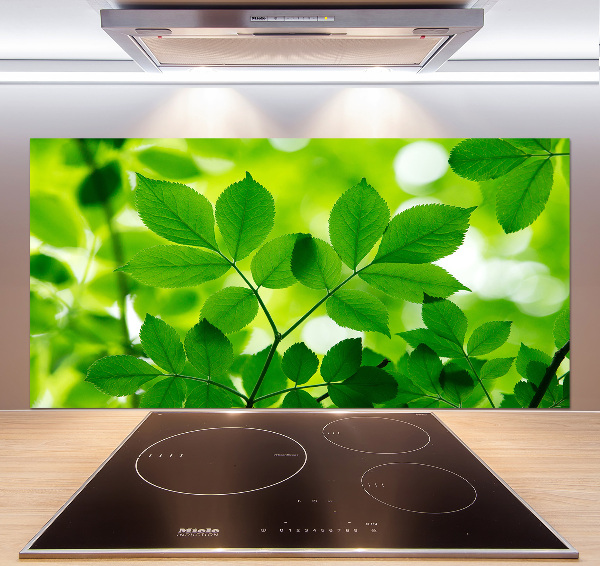 Cooker splashback Green leaves