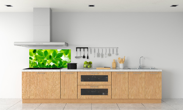 Cooker splashback Green leaves