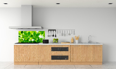 Cooker splashback Green leaves