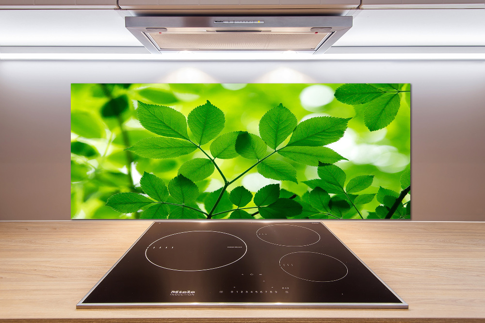 Cooker splashback Green leaves