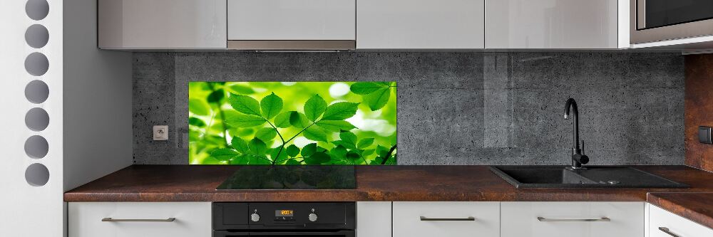 Cooker splashback Green leaves