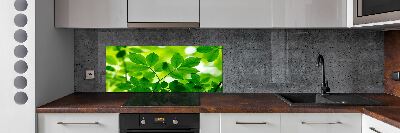 Cooker splashback Green leaves