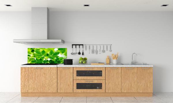 Cooker splashback Green leaves