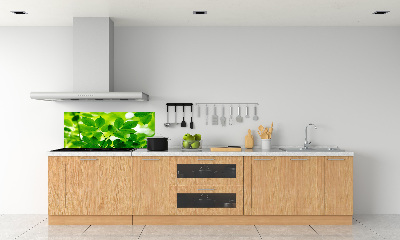 Cooker splashback Green leaves