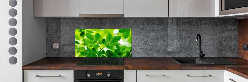 Cooker splashback Green leaves