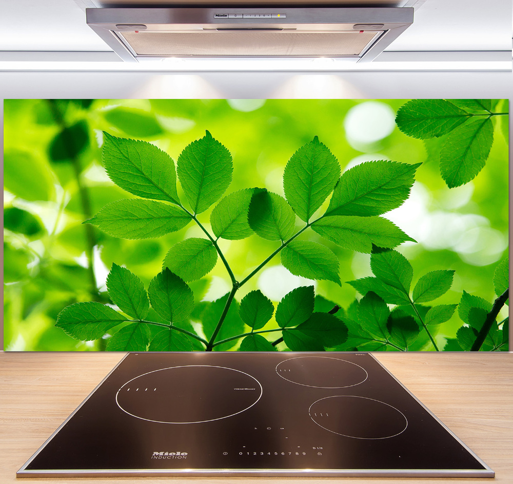 Cooker splashback Green leaves