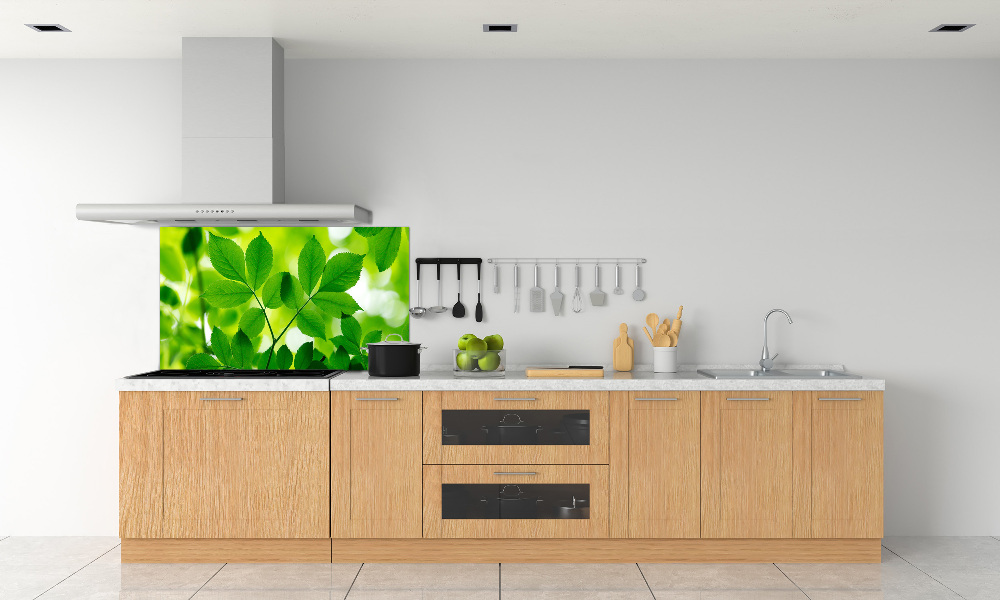 Cooker splashback Green leaves