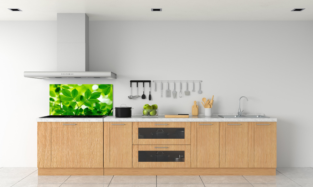 Cooker splashback Green leaves