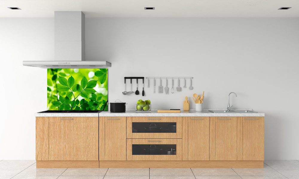 Cooker splashback Green leaves