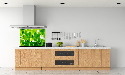 Cooker splashback Green leaves