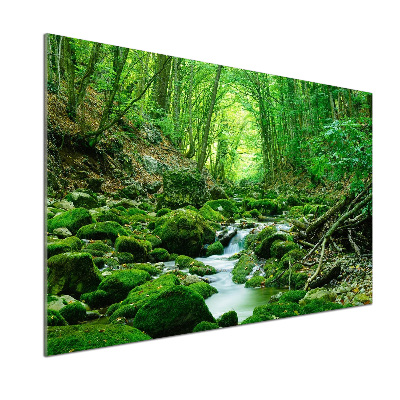 Cooker splashback Stream in the forest