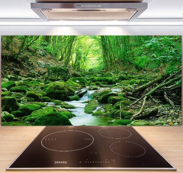 Cooker splashback Stream in the forest