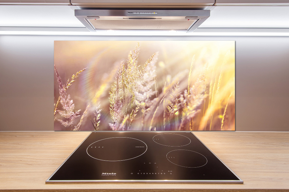 Cooker splashback Tall grass