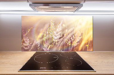 Cooker splashback Tall grass