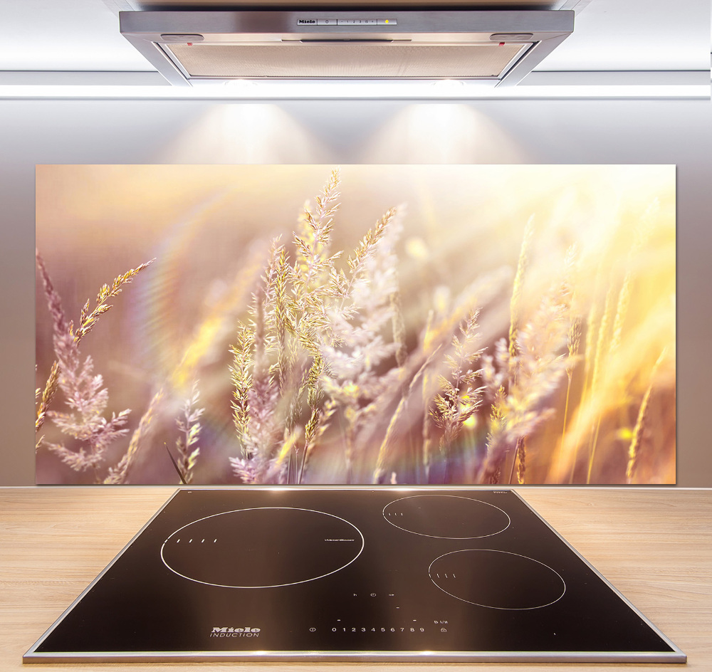 Cooker splashback Tall grass