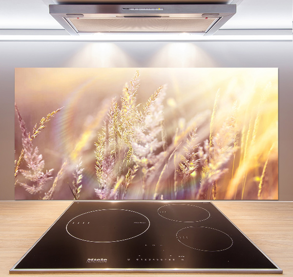 Cooker splashback Tall grass