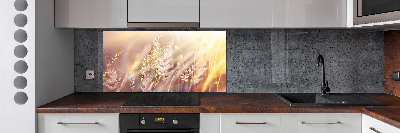 Cooker splashback Tall grass